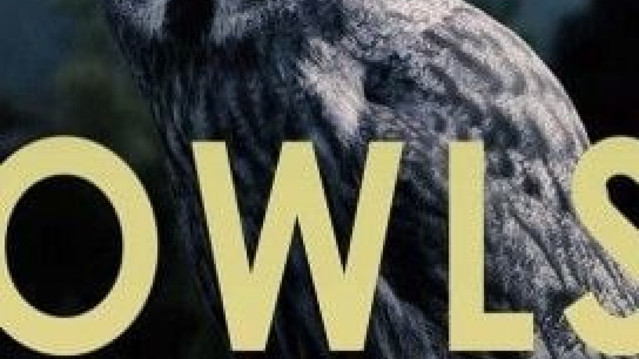 مشاهدة فيلم The Secret Life of Owls 2017 مترجم