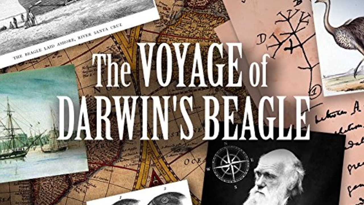 مشاهدة فيلم Darwin & the Beagle’s Scandal 2012 مترجم