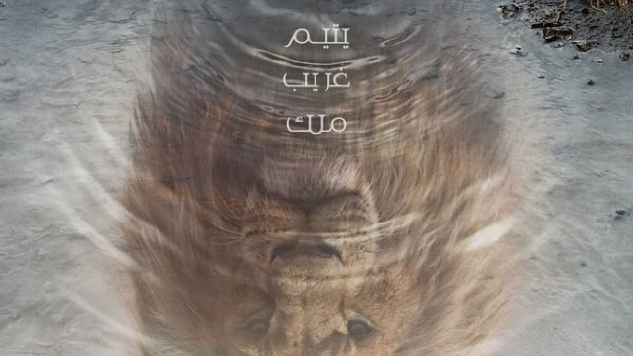 مشاهدة فيلم Mufasa: The Lion King 2024 مدبلج