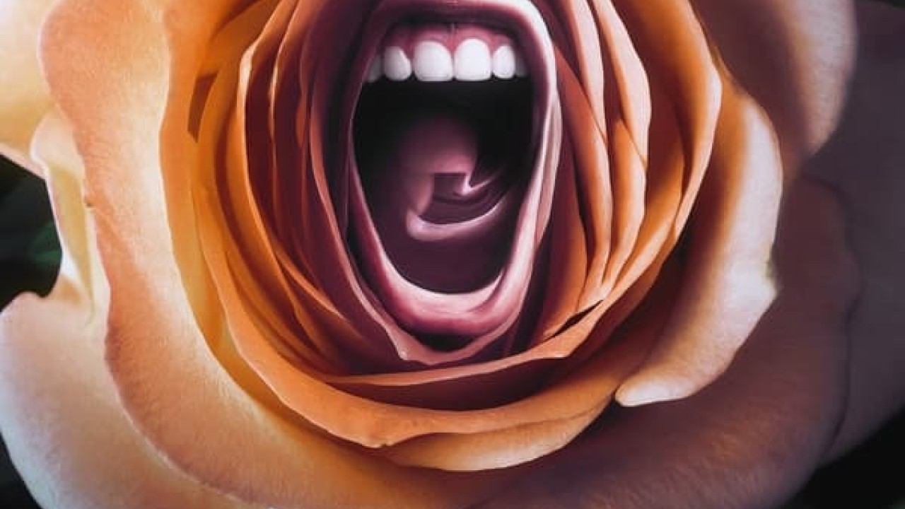 مشاهدة مسلسل Roar موسم 1 حلقة 7