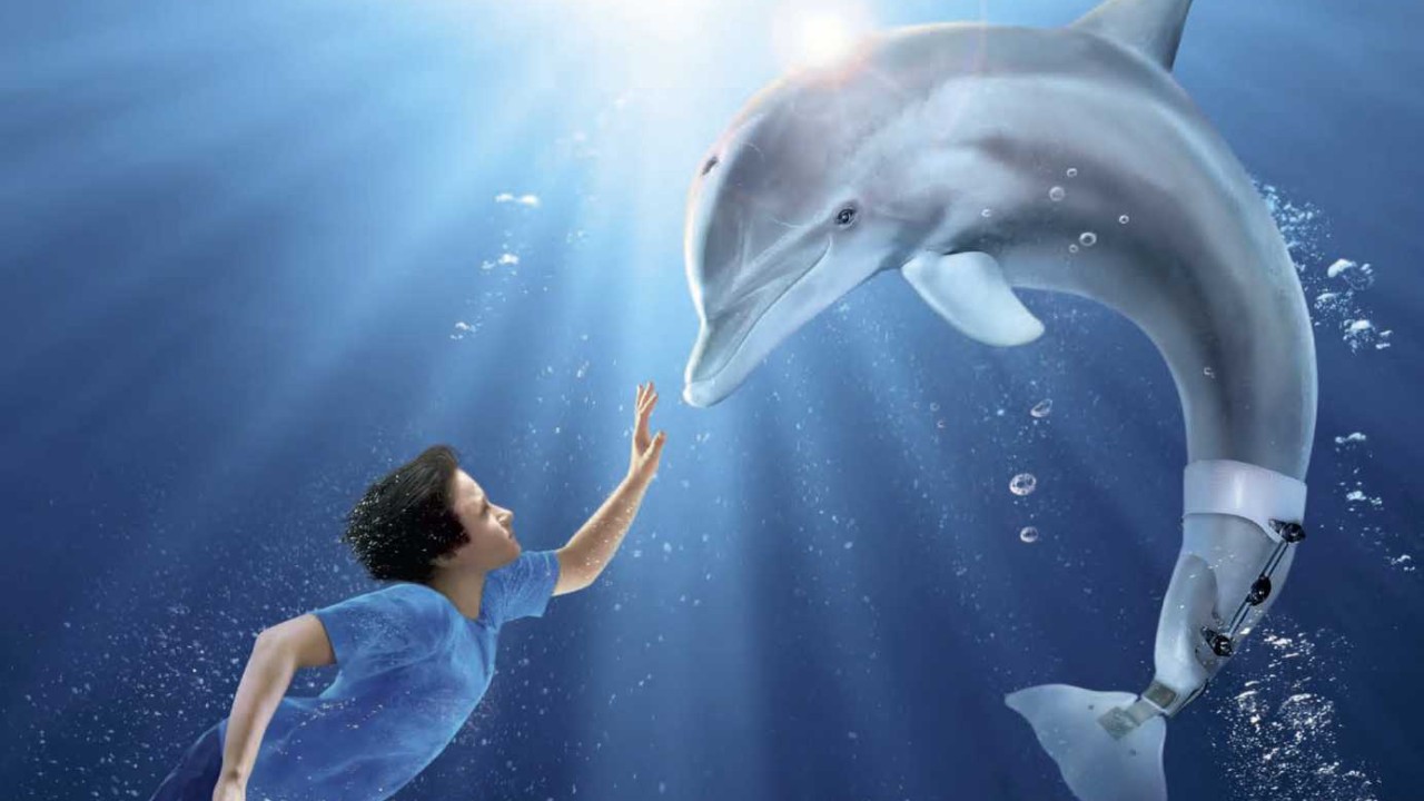فيلم Dolphin Tale 2011 مترجم