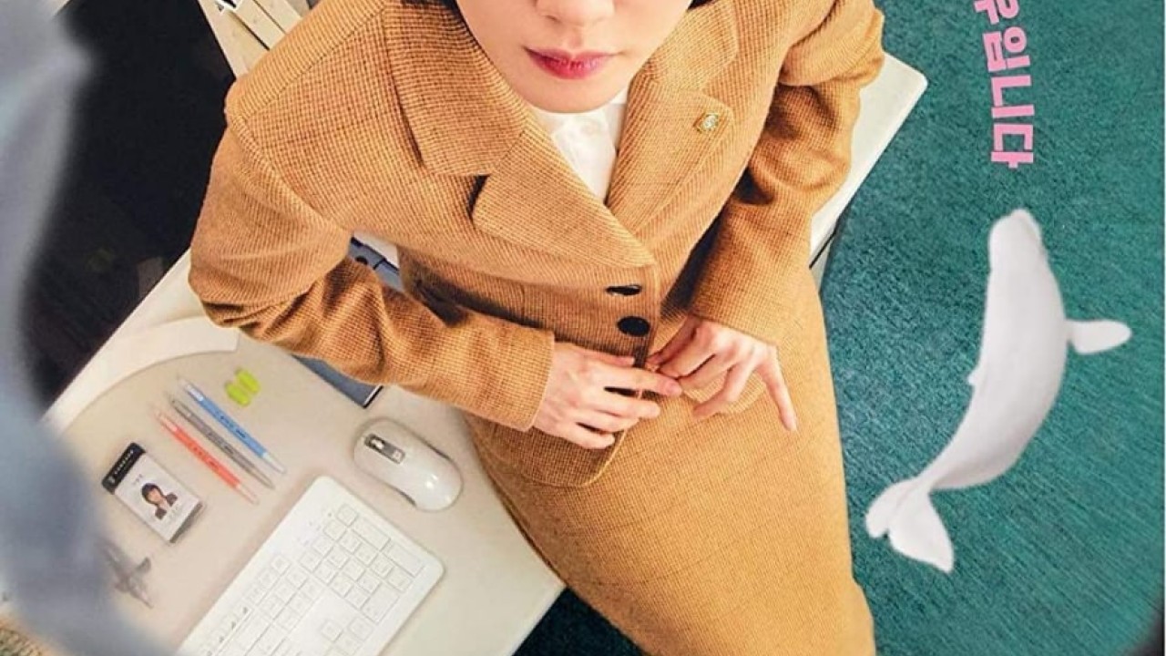 Extraordinary Attorney Woo