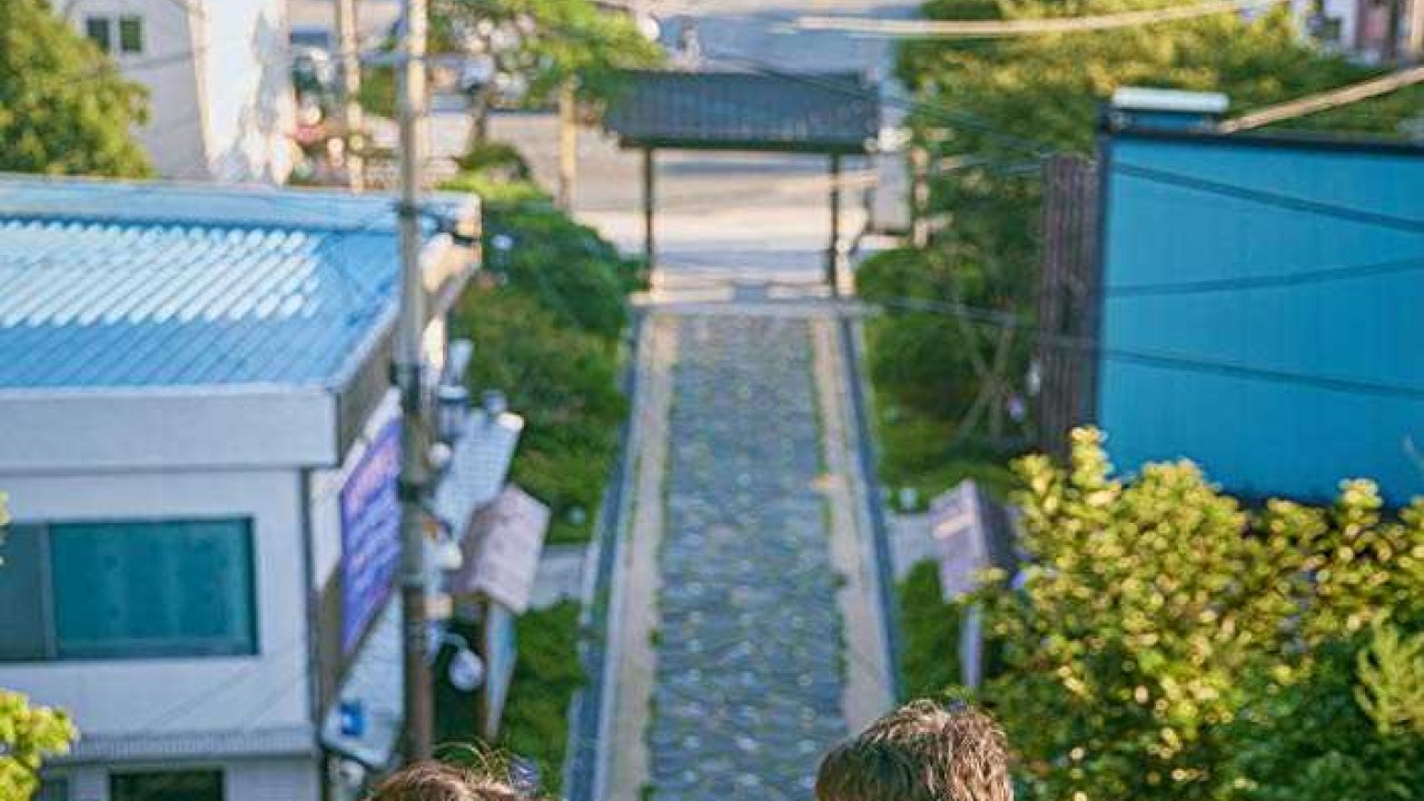 مشاهادة مسلسل When the Camellia Blooms موسم 1 حلقة 25 – 26 مترجمة
