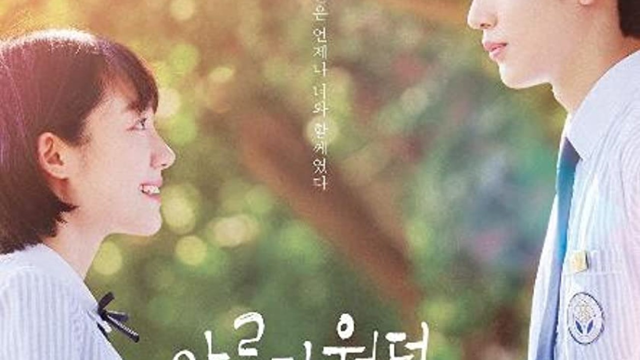 A Love So Beautiful