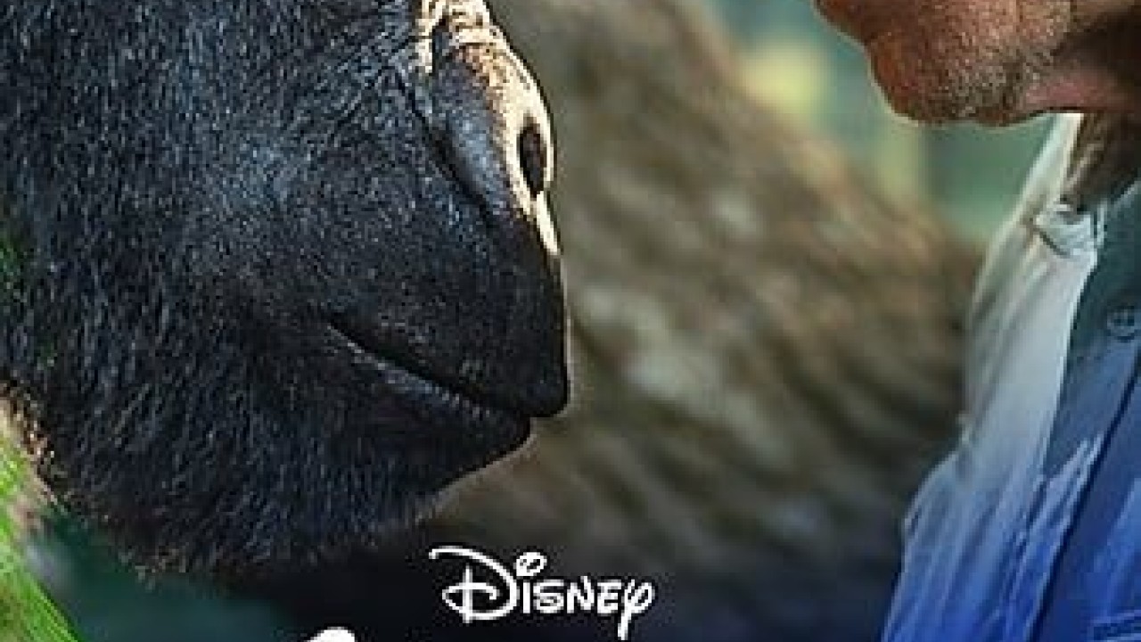 مشاهدة فيلم The One and Only Ivan 2020 مترجم