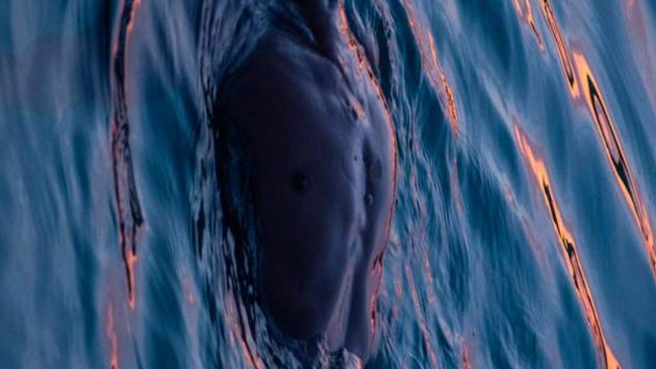 مشاهدة فيلم Buoyancy 2019 مترجم