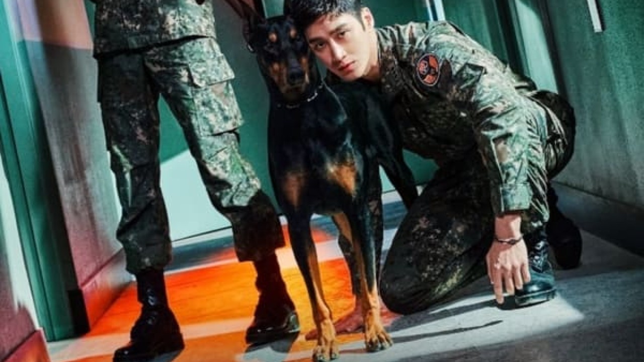 Military Prosecutor Doberman الموسم 1