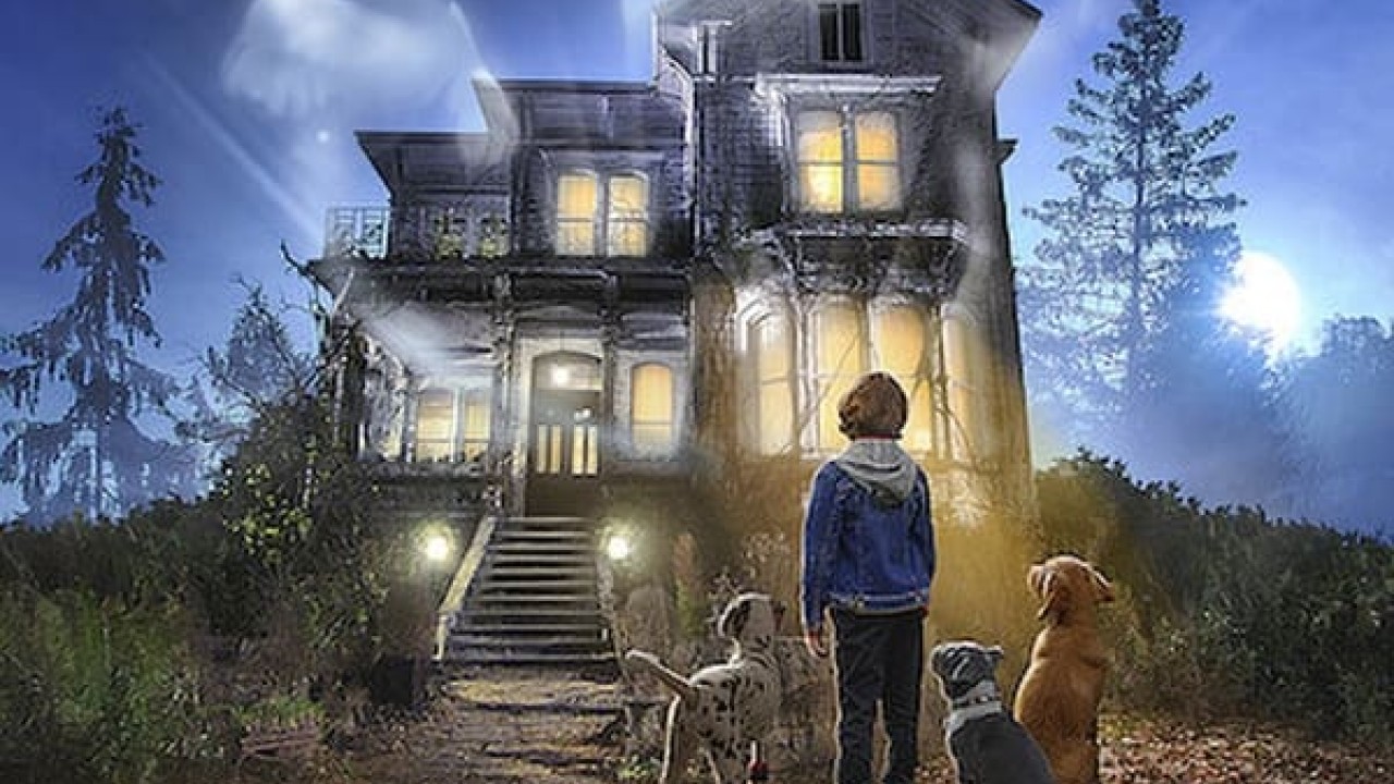 مشاهدة مسلسل Phantom Pups موسم 1 حلقة 3