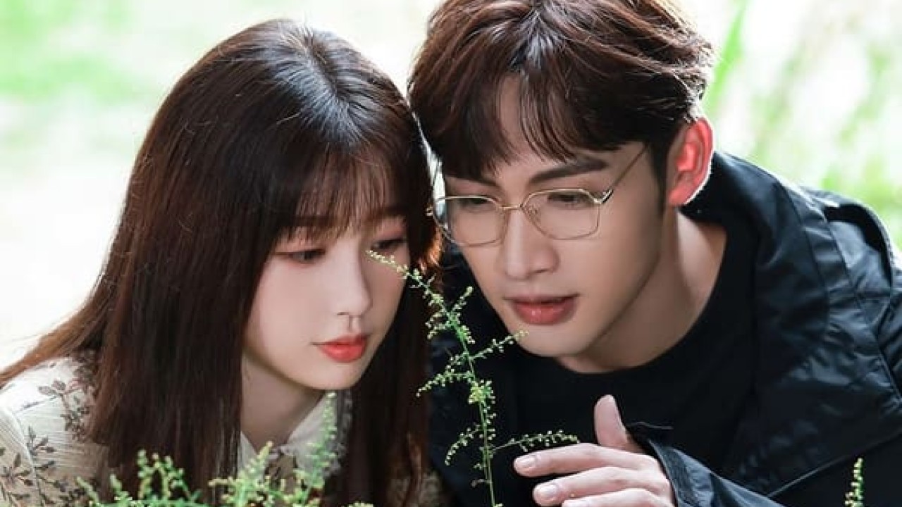 مشاهدة مسلسل A Romance of the Little Forest موسم 1 حلقة 35