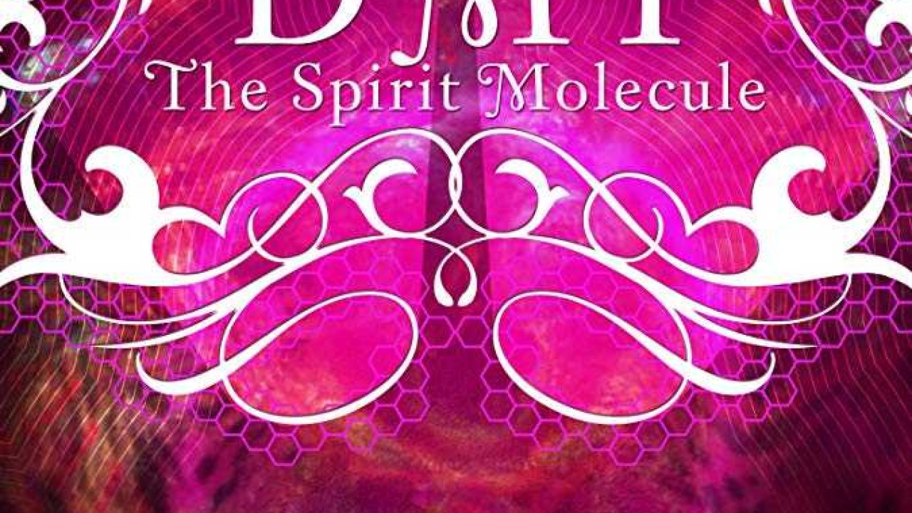مشاهدة فيلم DMT The Spirit Molecule 2010 مترجم