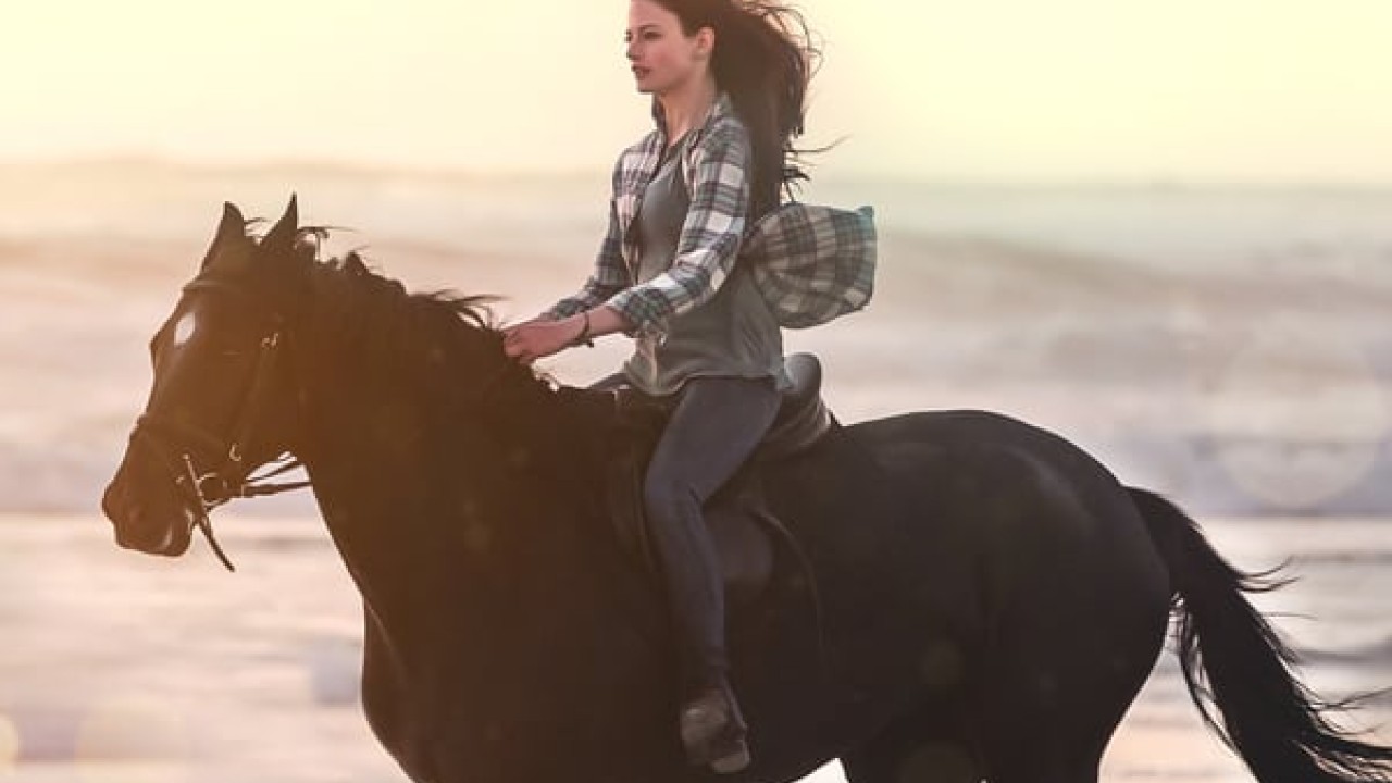 مشاهدة فيلم Black Beauty 2020 مترجم