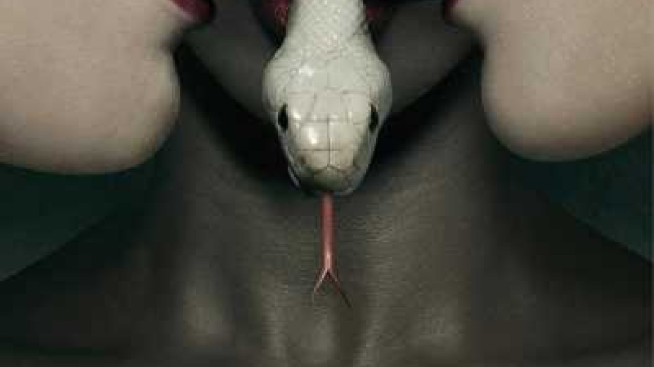مشاهدة مسلسل American Horror Story موسم 3 حلقة 1