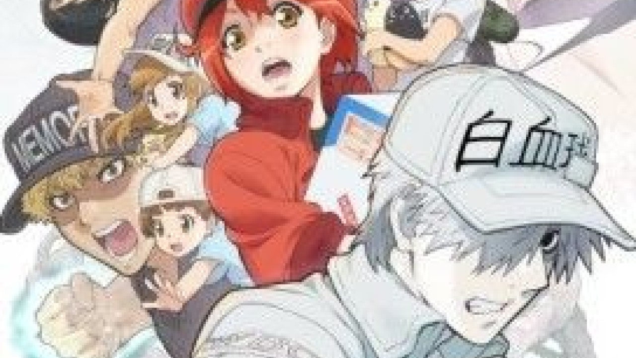 Hataraku Saibou!!
