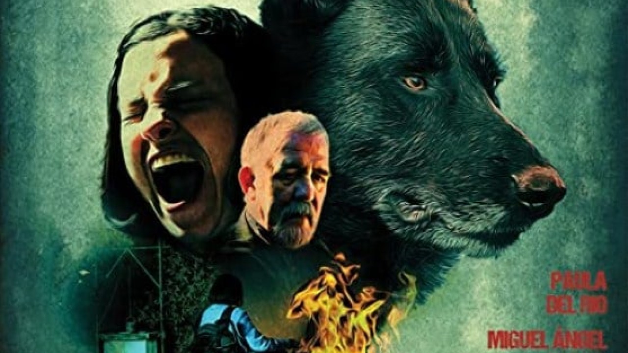 مشاهدة فيلم Cordes 2019 مترجم
