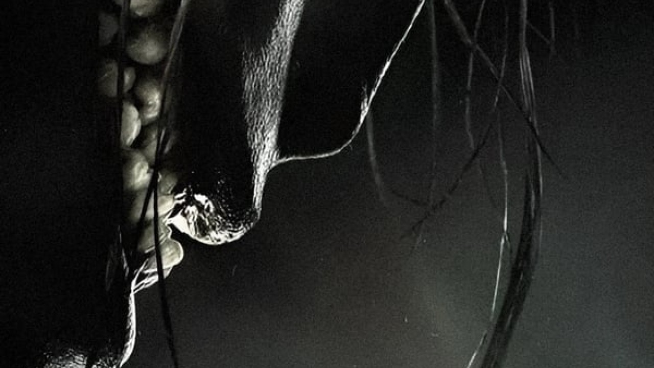 مشاهدة فيلم Grimcutty 2022 مترجم