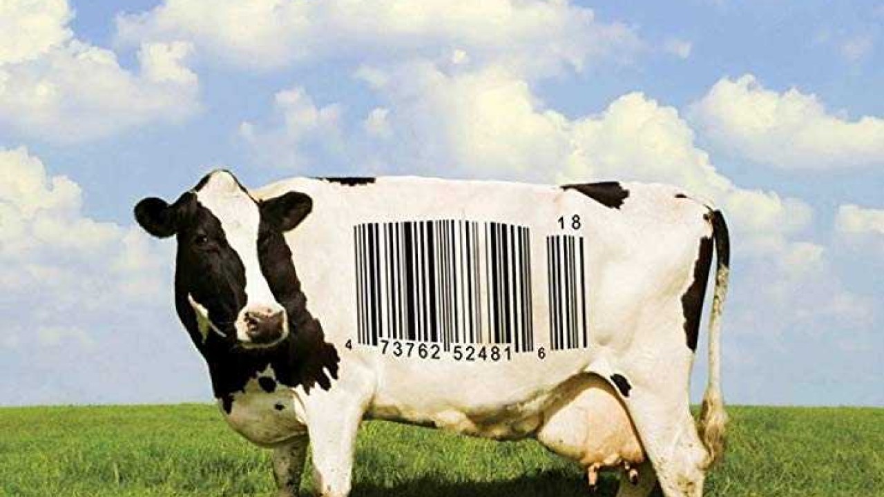 مشاهدة فيلم Food Inc 2008 مترجم