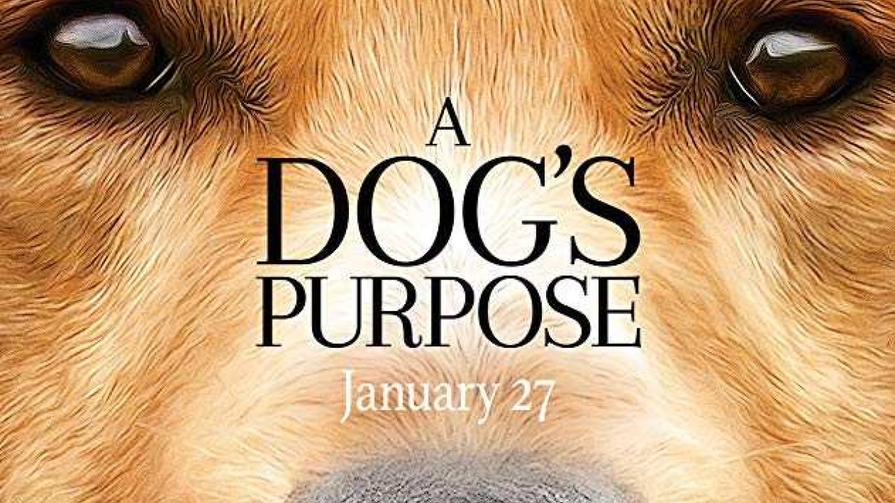 مشاهدة فيلم A Dog’s Purpose 2017 مترجم
