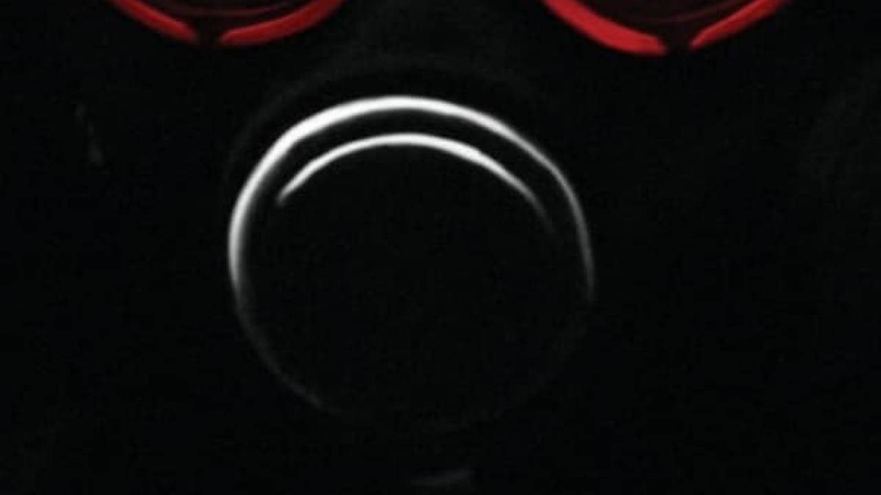 مشاهدة فيلم Black Garden 2019 مترجم