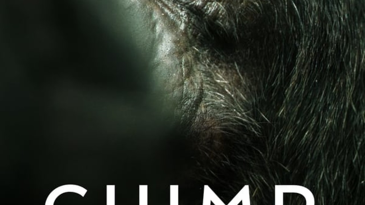 مشاهدة مسلسل Chimp Empire موسم 1 حلقة 1