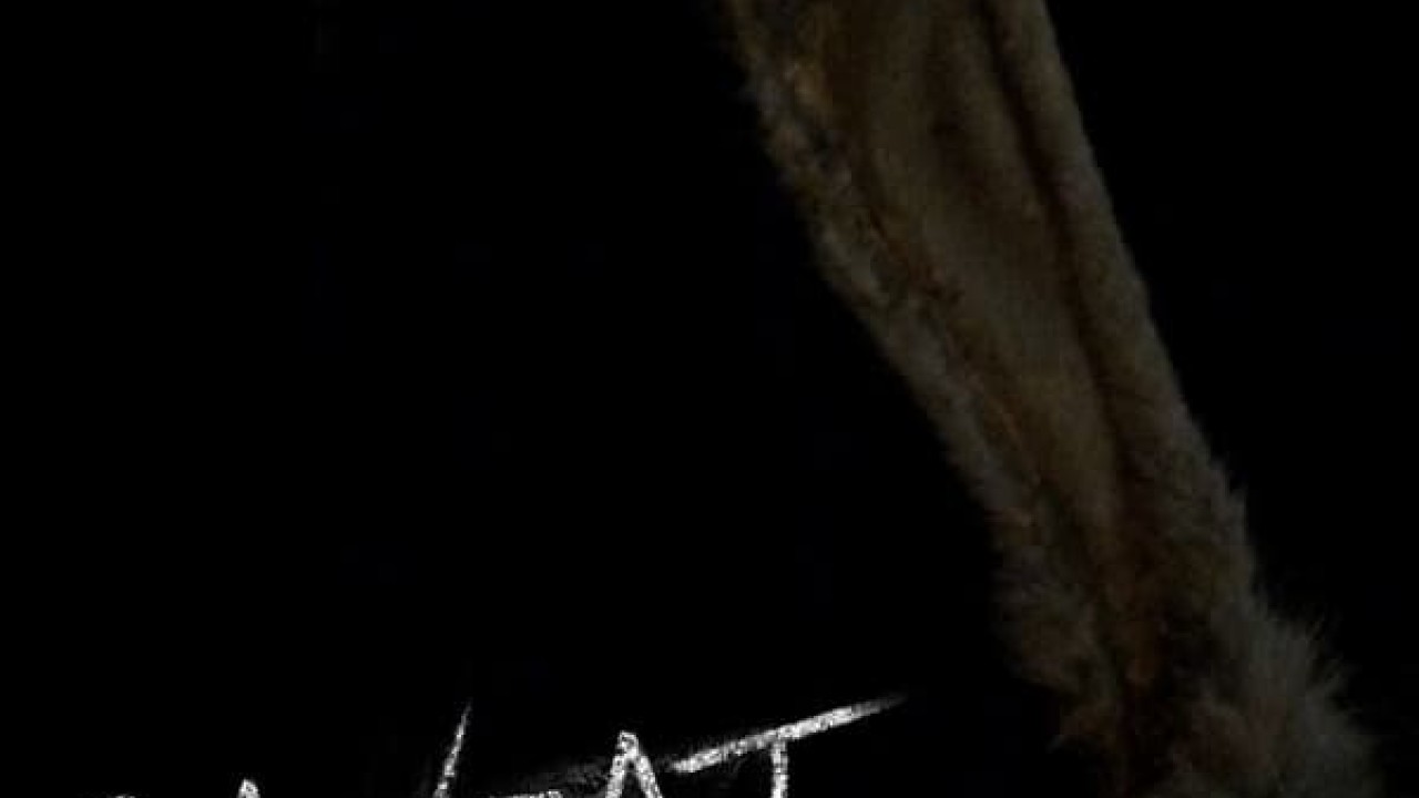 مشاهدة فيلم Caveat 2020 مترجم