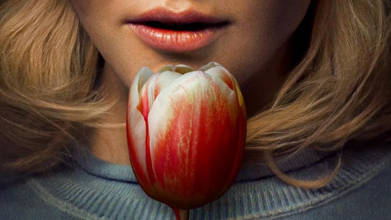 مشاهدة فيلم Holland 2025 مترجم