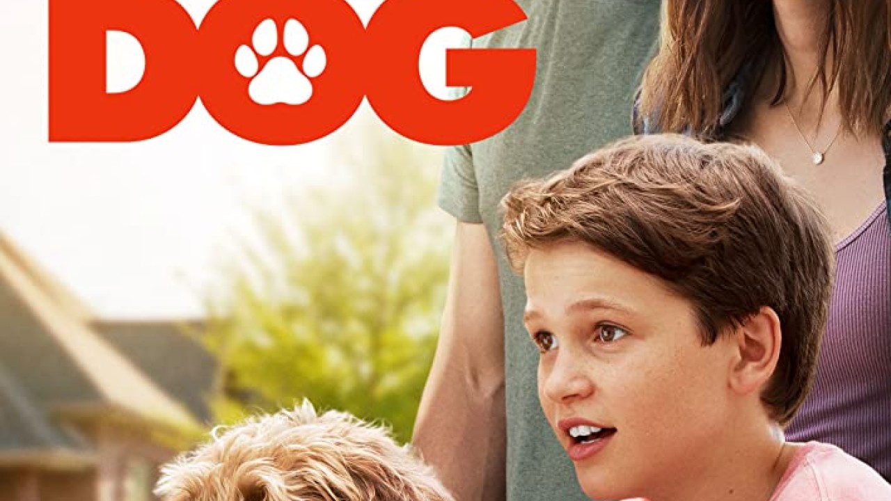 مشاهدة فيلم Think Like a Dog 2020 مترجم