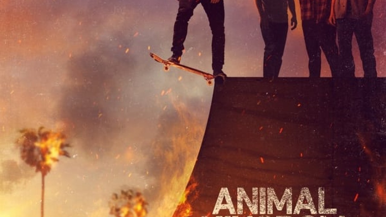 مشاهدة مسلسل Animal Kingdom موسم 6 حلقة 9