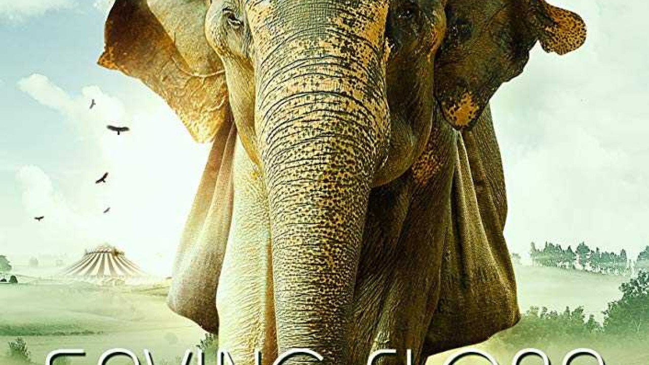 مشاهدة فيلم Saving Flora 2018 مترجم