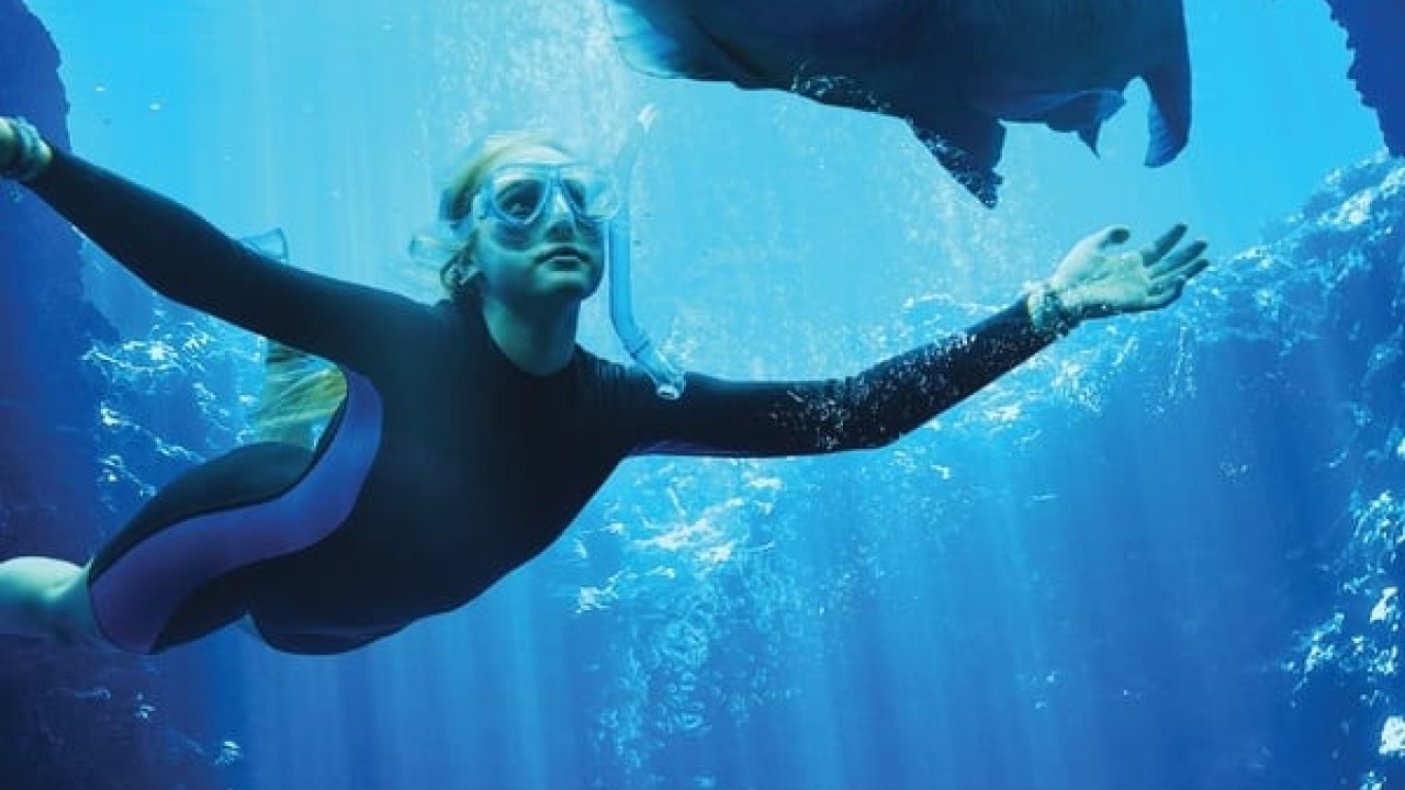 مشاهدة فيلم Blueback 2022 مترجم