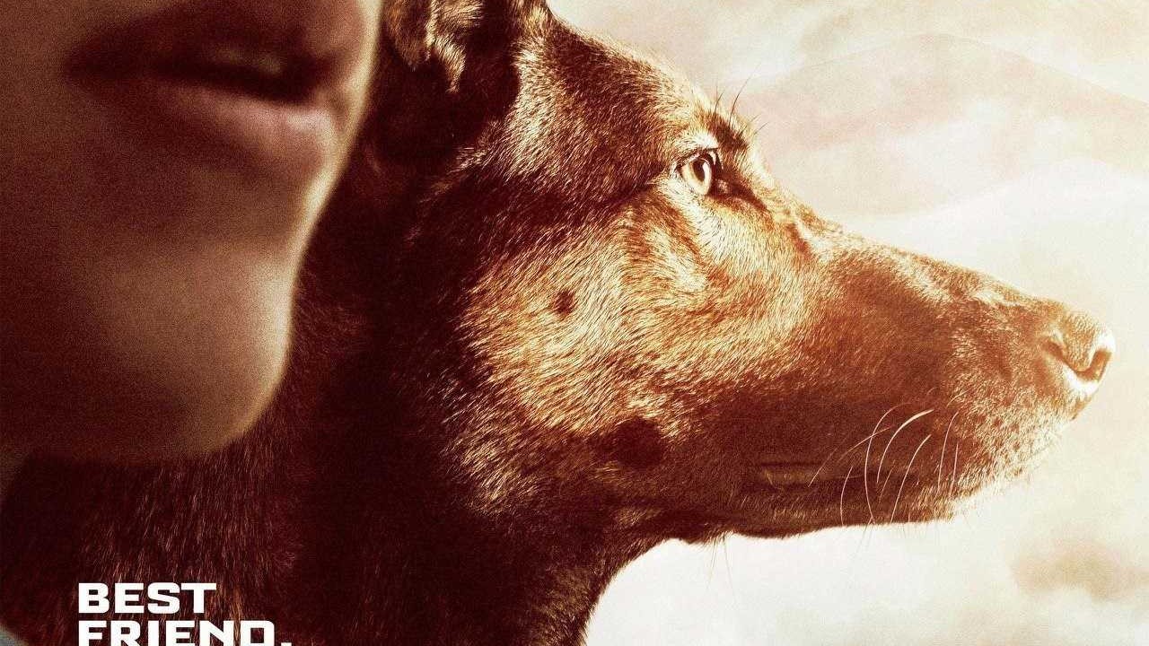فيلم Max 2015 مترجم