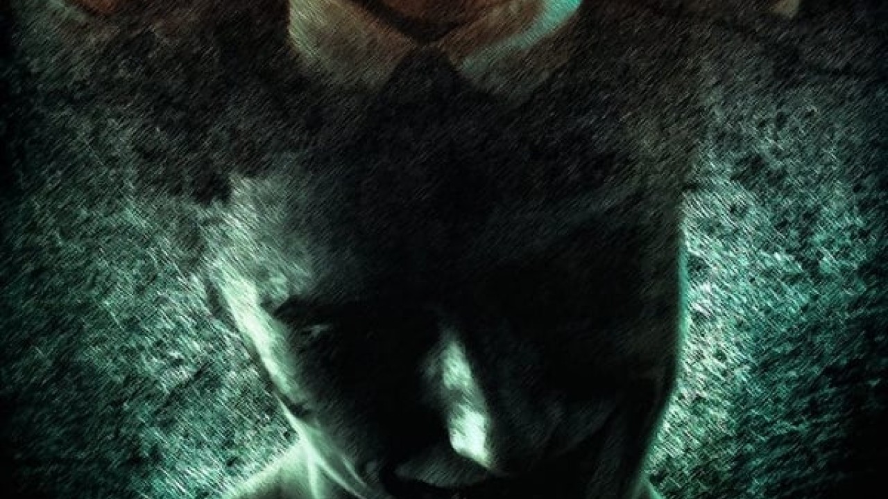 مشاهدة فيلم Campton Manor 2024 مترجم