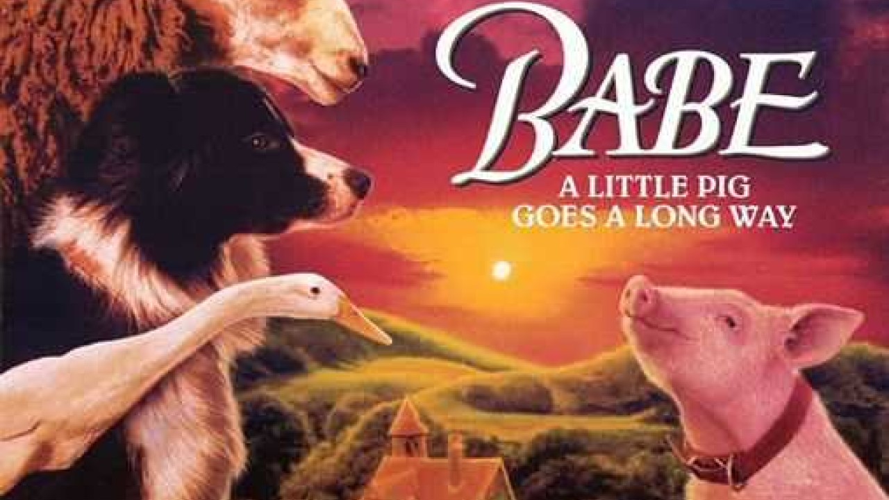 مشاهدة فيلم Babe 1995 مترجم