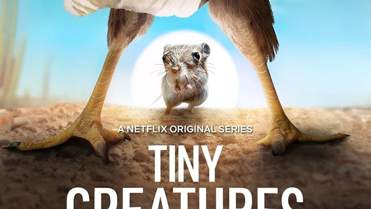 Tiny Creatures الموسم 1