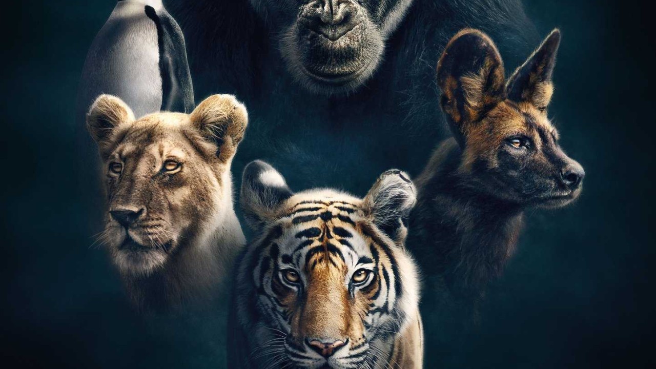 مسلسل Dynasties موسم 1 حلقة 1