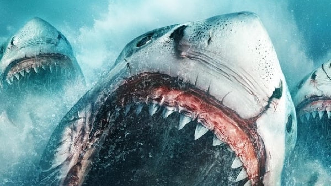 مشاهدة فيلم Megalodon: The Frenzy 2023 مدبلج