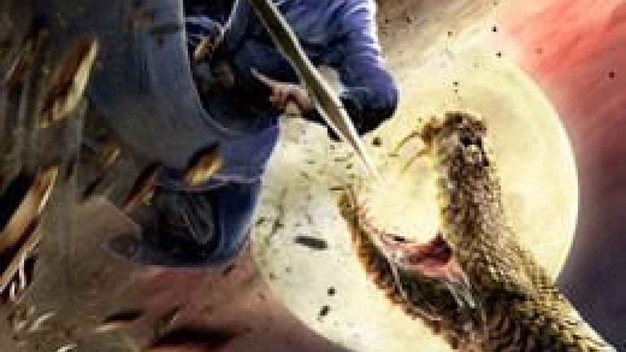 مشاهدة فيلم Rebirth of Jin Mao Rat 2020 مترجم