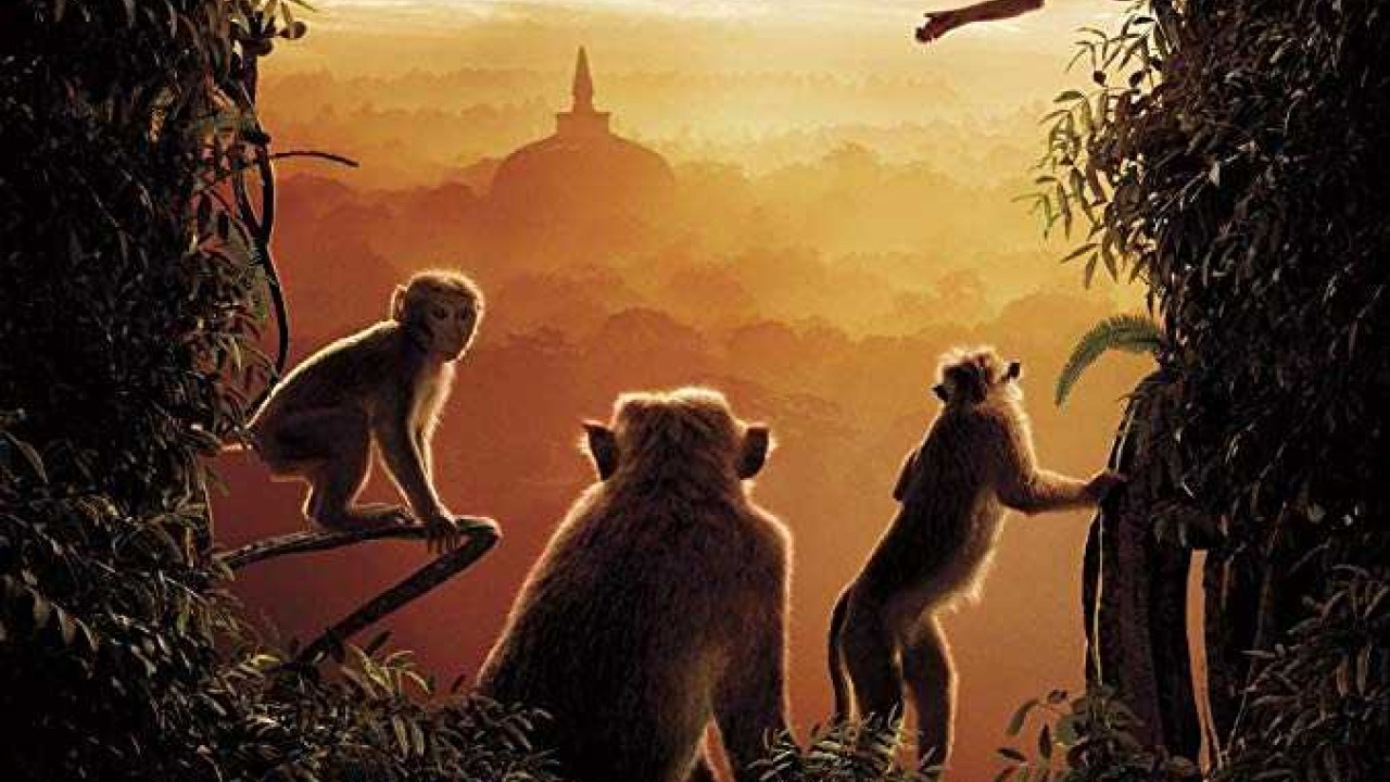 مشاهدة فيلم Monkey Kingdom 2015 مترجم