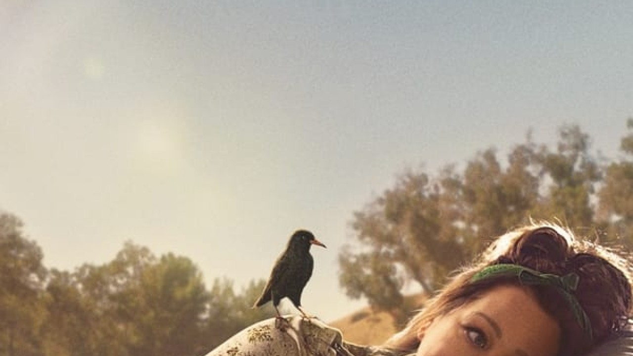 مشاهدة فيلم The Starling 2021 مترجم