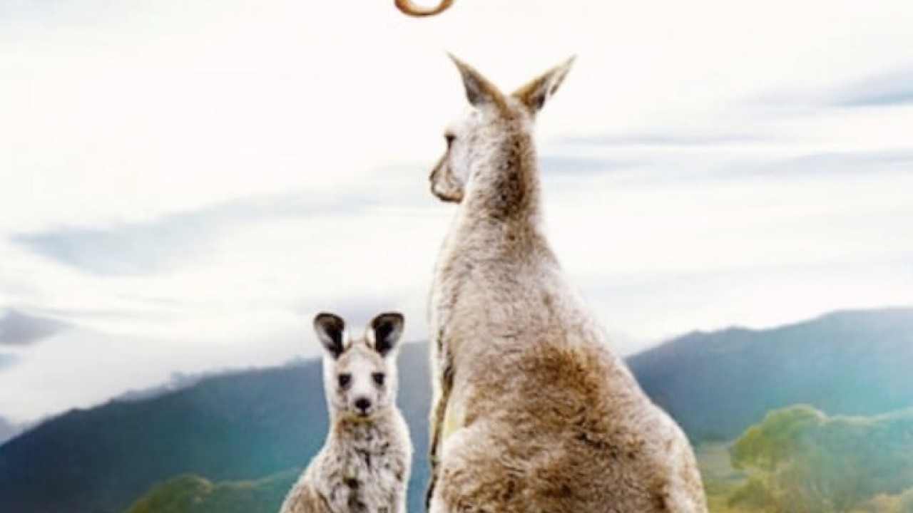مشاهدة فيلم Kangaroo Valley 2022 مترجم