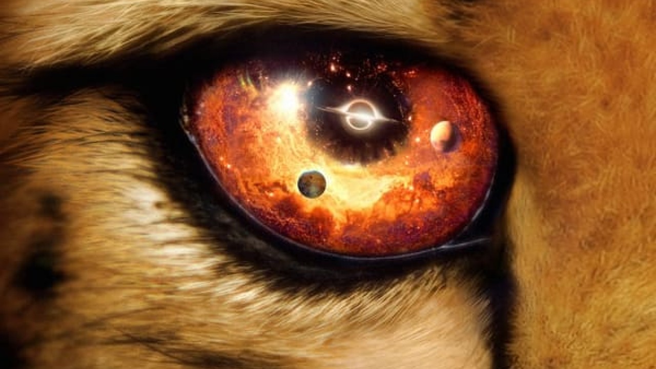 مشاهدة مسلسل Our Universe موسم 1 حلقة 4