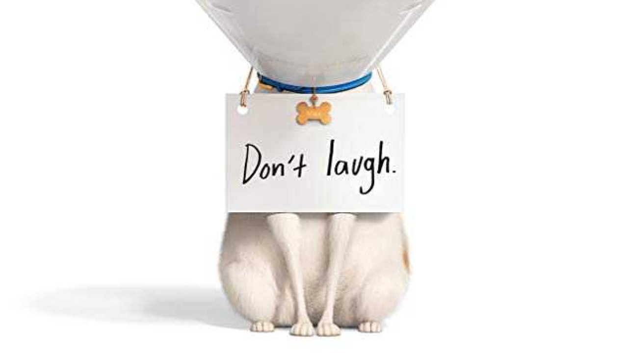 مشاهدة فيلم The Secret Life of Pets 2 2019 مترجم