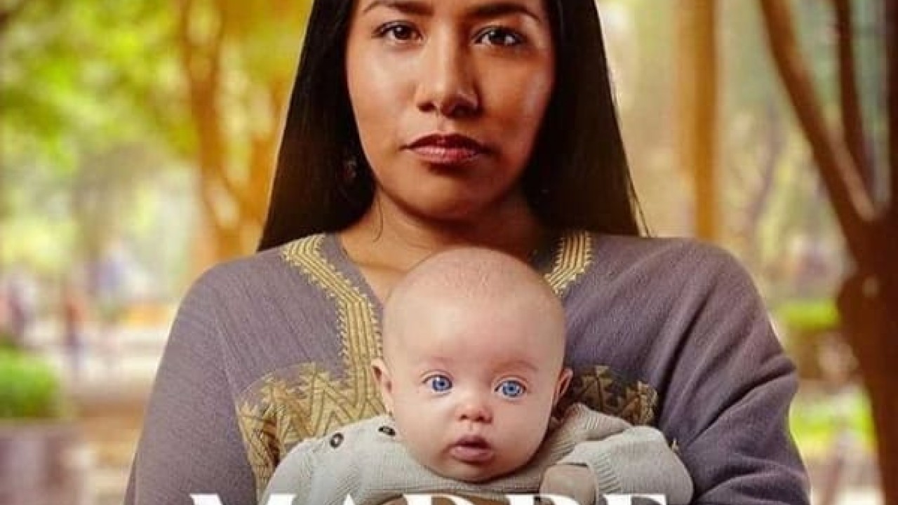 The Surrogacy
