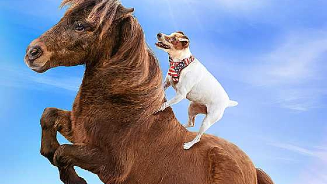 مشاهدة فيلم Adventures of Dally & Spanky 2019 مترجم