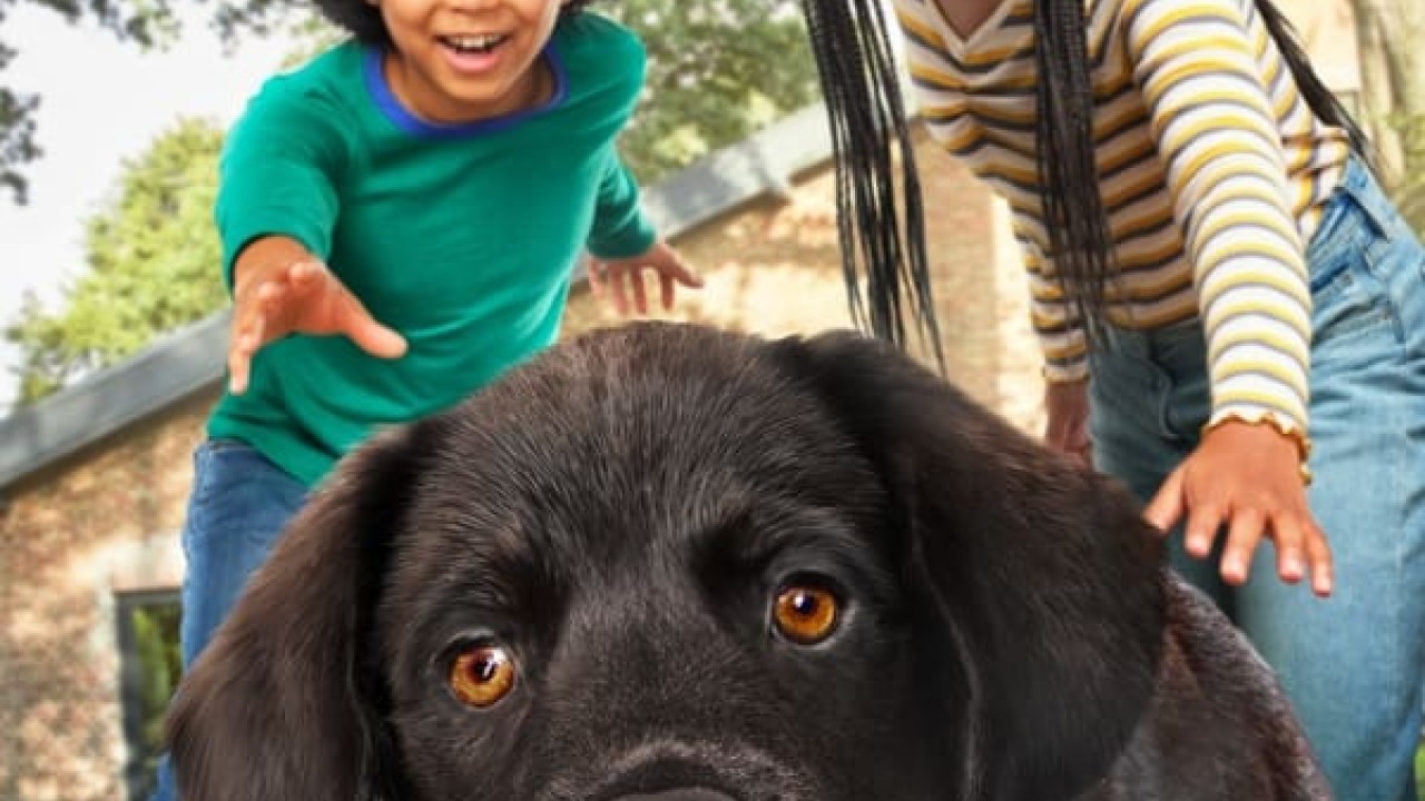 مشاهدة مسلسل Puppy Place موسم 1 حلقة 1