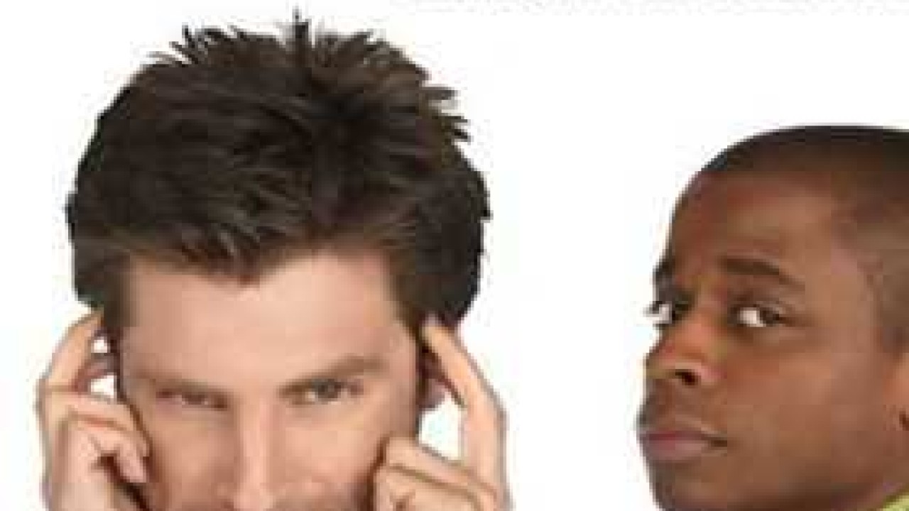 Psych الموسم 1