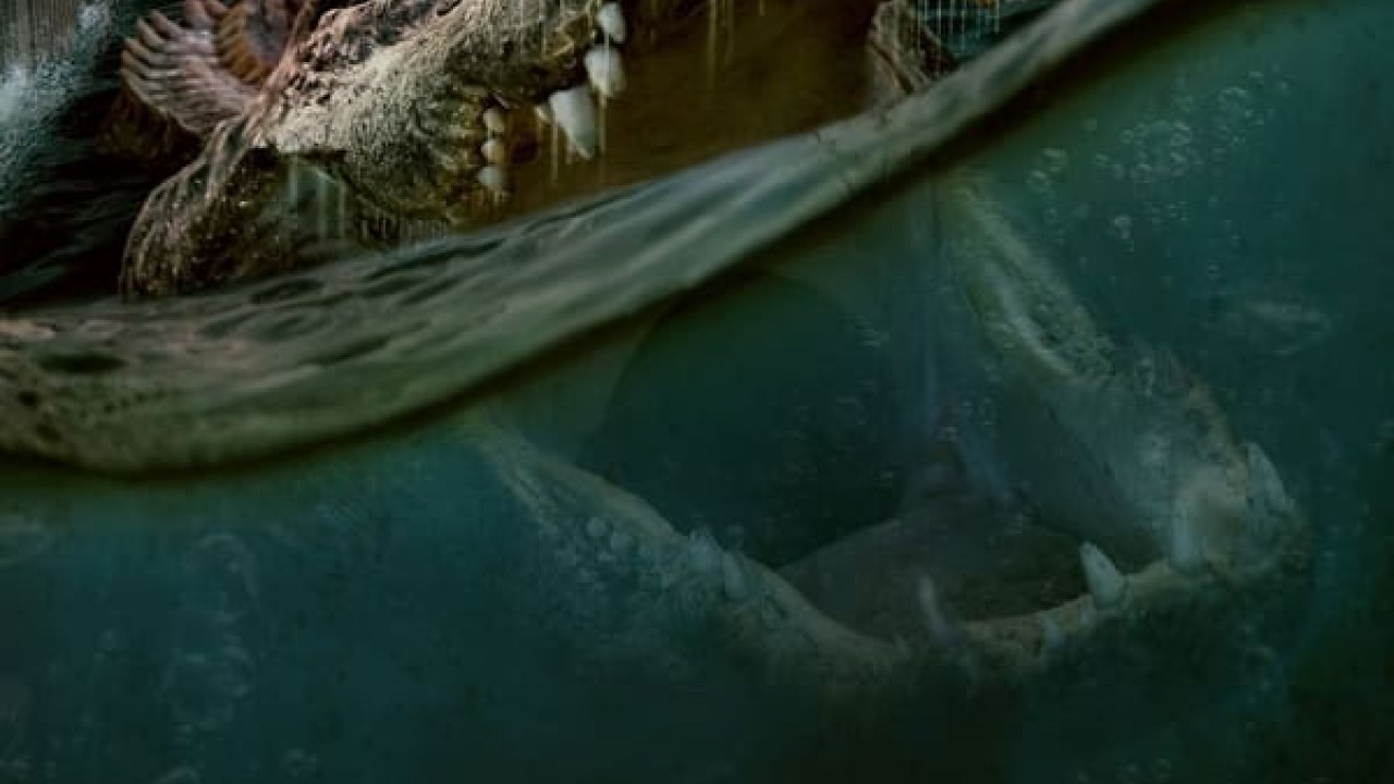 مشاهدة فيلم The Flood 2023 مترجم