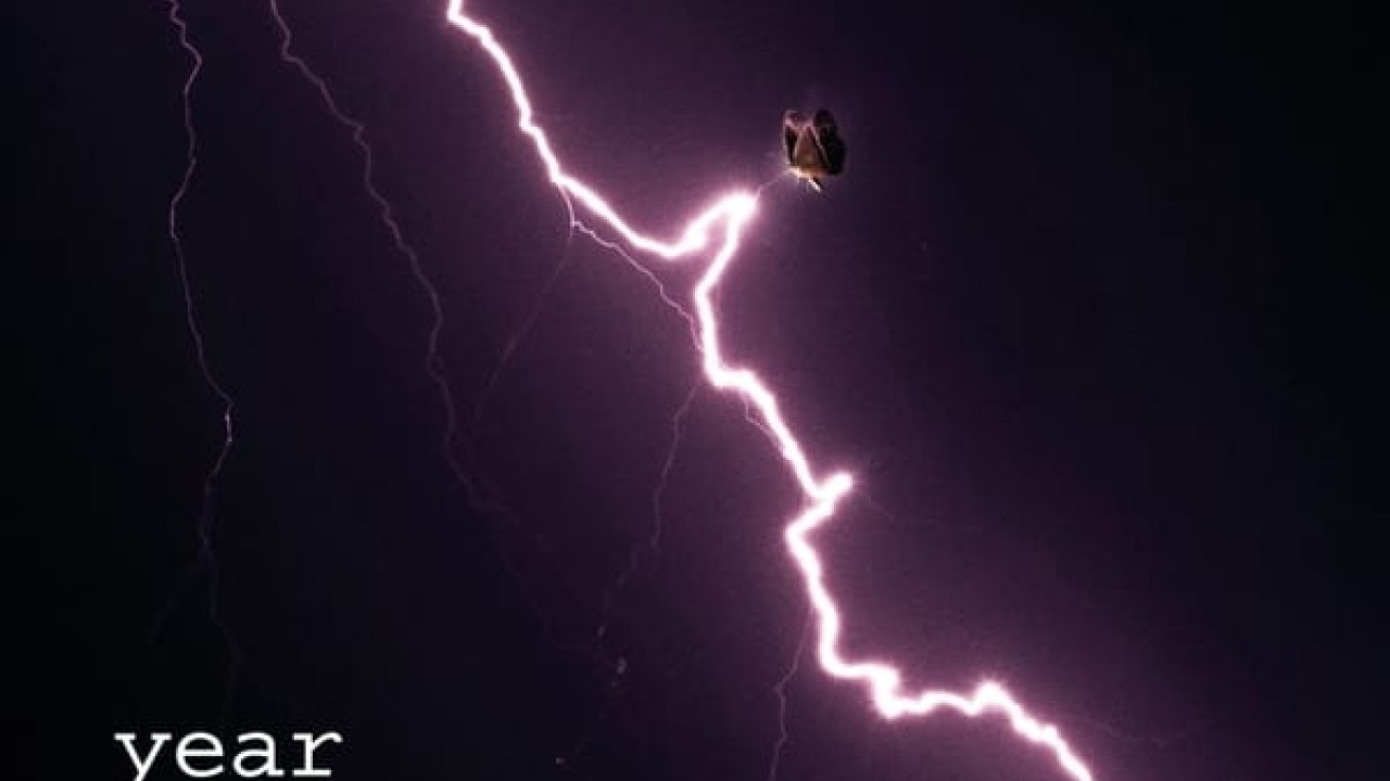 مشاهدة فيلم The Year of the Everlasting Storm 2021 مترجم