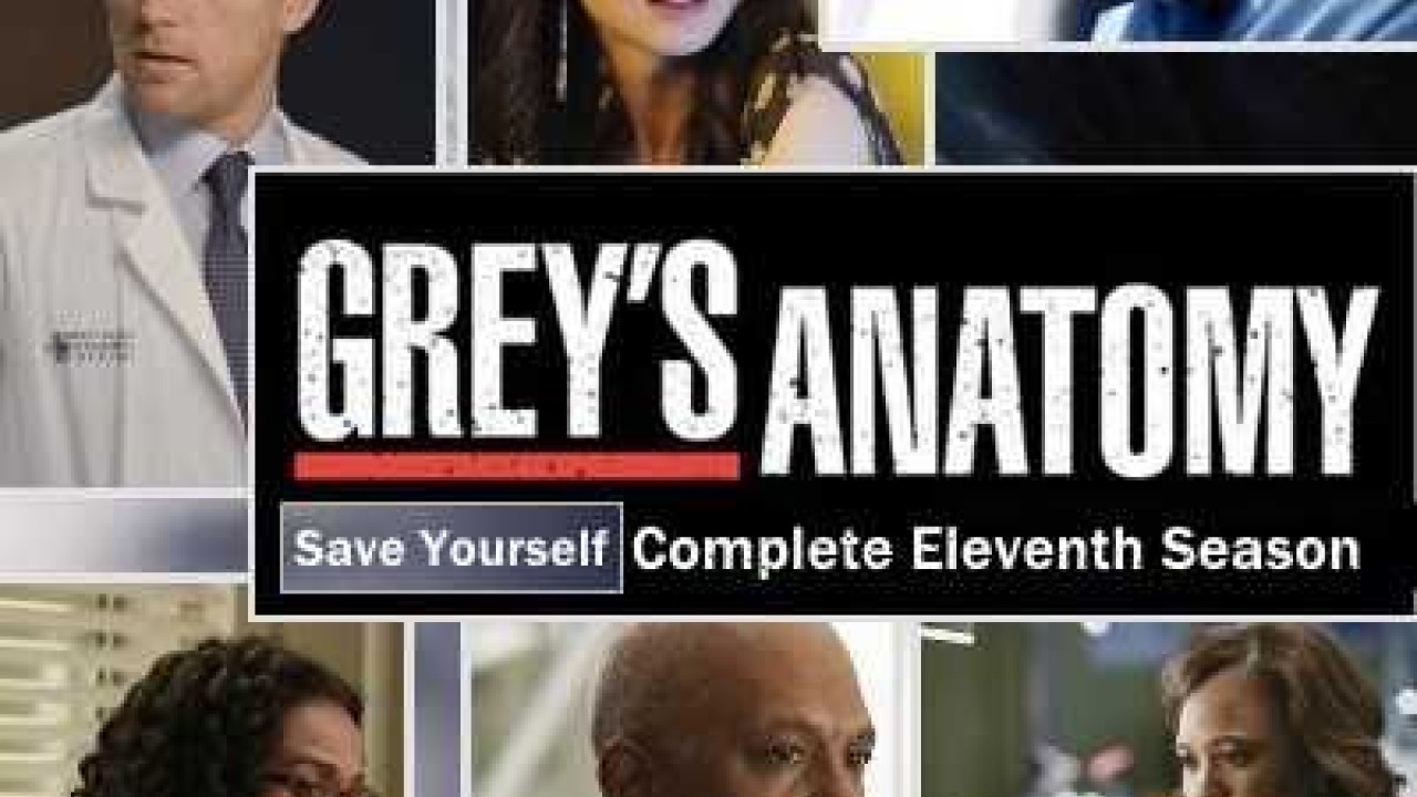 مشاهدة مسلسل Greys Anatomy موسم 11 حلقة 25 والاخيرة