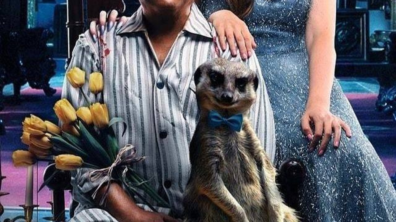 مشاهدة فيلم الإنس والنمس 2021