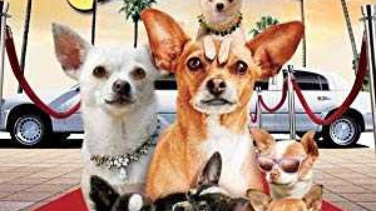 فيلم Beverly Hills Chihuahua 2 2011 مترجم
